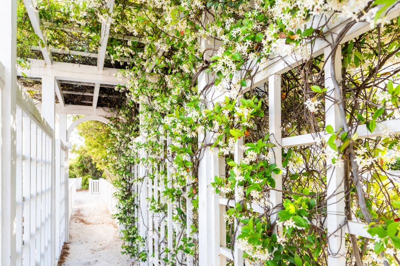 Garden Trellis Installation in Conroe, TX