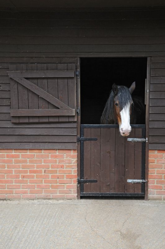 Horse Stall Installation