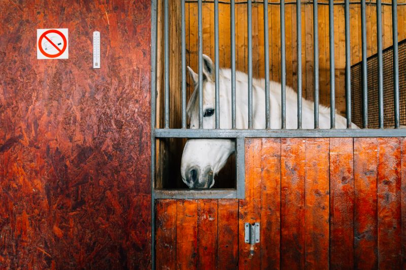Horse Stall Installation