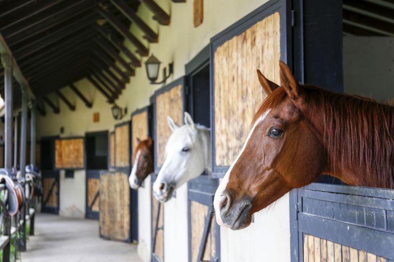 Horse Stall Installation