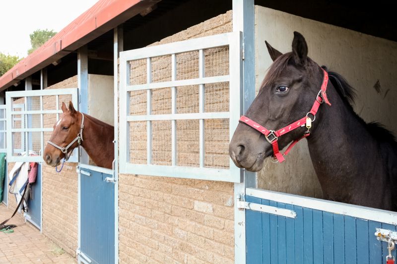 Horse Stall Installation in Summer