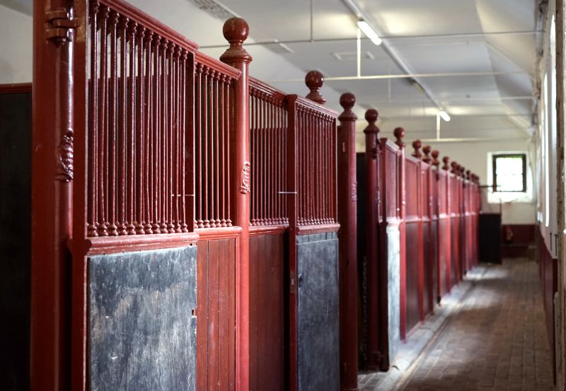 Construction in Progress