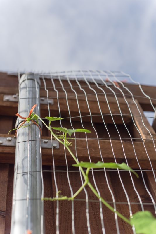 Wood Trellis Installation in Wilmington, NC
