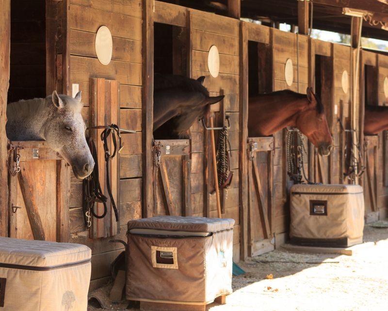 Enhances horse comfort.